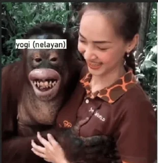 😵‍💫 emoji agung hermawan Telegram sticker 6 of 13