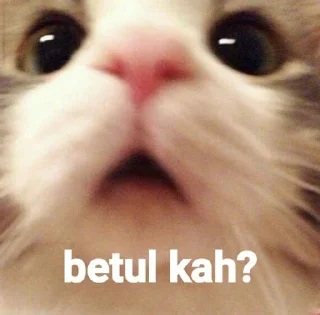 Sticker from naon we lah