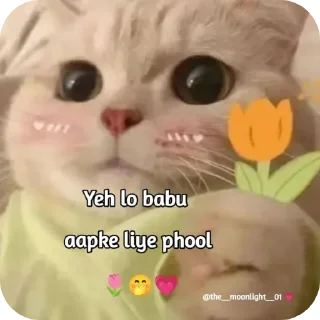 🤲 emoji narcissistic (kaush....) Telegram sticker 8 of 97