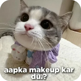 🐱 emoji narcissistic (kaush....) Telegram sticker 18 of 97
