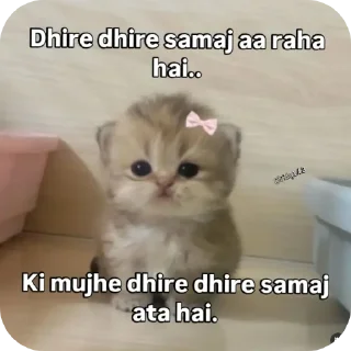 🐱 emoji narcissistic (kaush....) Telegram sticker 19 of 97