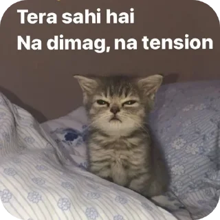 🐱 emoji narcissistic (kaush....) Telegram sticker 17 of 97