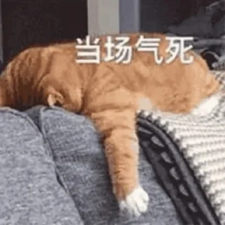 🤐 emoji ying_专属 Telegram sticker 21 of 110