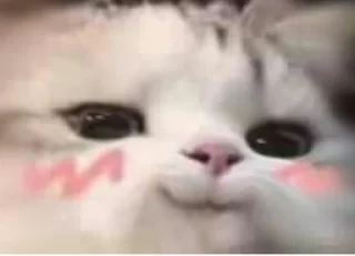 😚 emoji ying_专属 Telegram sticker 19 of 110