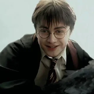 🪄 emoji ˑ ִ ֗ ¡ harry potter ᵎ ˖࣪ @sweetymills ₊˚･ Telegram sticker 13 of 40