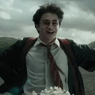 🪄 emoji ˑ ִ ֗ ¡ harry potter ᵎ ˖࣪ @sweetymills ₊˚･ Telegram sticker 10 of 40