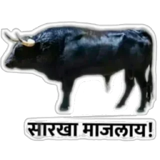 🦍 emoji मराठी टोमणे Telegram sticker 20 of 30