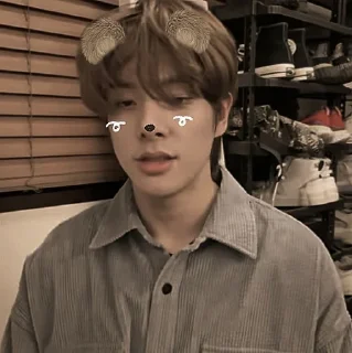 Sticker from ㅤ       ⋆ જ jake ☆ @zrylly જ ⋆