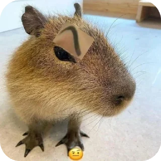 Sticker from Capybara