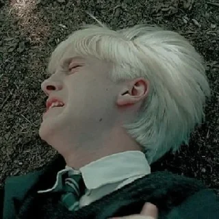 🐍 emoji Draco Malfoy @stikerwestern Telegram sticker 21 of 60