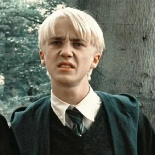 🐍 emoji Draco Malfoy @stikerwestern Telegram sticker 18 of 60