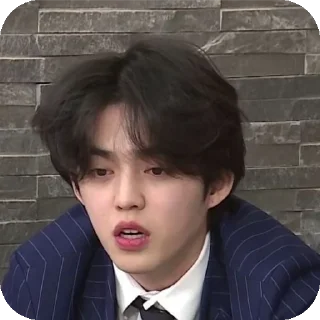 👔 emoji Nugu Telegram sticker 15 of 16
