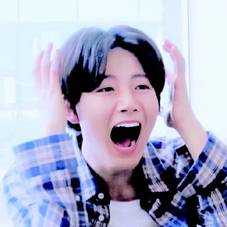 🎨 emoji -ˏˋ🐨⊹ ༘⋆༄ junkyu sticker ー Telegram sticker 10 of 58