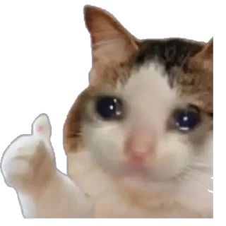 🌝 emoji Boom Telegram sticker 7 of 43