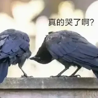 😝 emoji 图图的图图 @GD_LM Telegram sticker 24 of 51