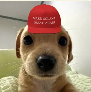 Sticker from Woof