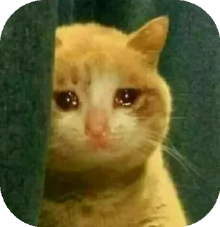🥺 emoji Funny Animals ★ Telegram sticker 6 of 75