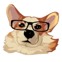 🤓 emoji corgi Telegram sticker 17 of 28