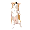 😴 emoji corgi Telegram sticker 5 of 28