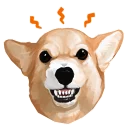 😠 emoji corgi Telegram sticker 16 of 28