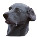 😨 emoji corgi Telegram sticker 22 of 28