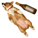 🍺 emoji corgi Telegram sticker 8 of 28