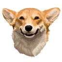 😏 emoji corgi Telegram sticker 24 of 28