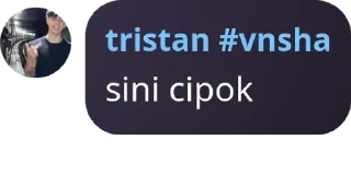 👩 emoji tristan #vnsha pack by @QuotLyBot Telegram sticker 6 of 15