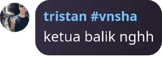 🚞 emoji tristan #vnsha pack by @QuotLyBot Telegram sticker 8 of 15