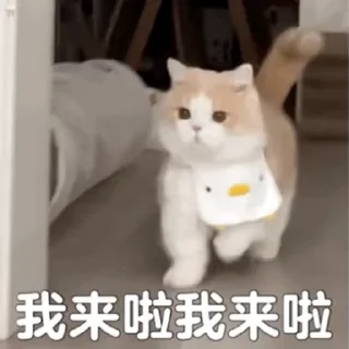 🤨 emoji 炒群动图 👉  @tiezhia Telegram sticker 4 of 29