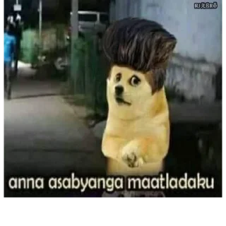 😏 emoji 🐕 ғᴜᴍɴʏ ᴅᴏɢ [5] 😹 @punithgowdastickersin Telegram sticker 19 of 120