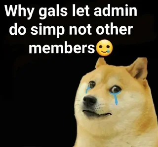 😒 emoji 🐕 ғᴜᴍɴʏ ᴅᴏɢ [3] 😹 @punithgowdastickersin Telegram sticker 6 of 120