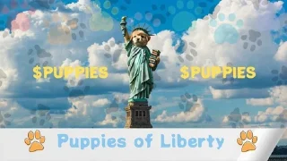 🌟 emoji $PUPPIES Telegram sticker 8 of 56