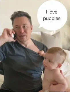 🌟 emoji $PUPPIES Telegram sticker 21 of 56