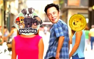 🌟 emoji $PUPPIES Telegram sticker 13 of 56