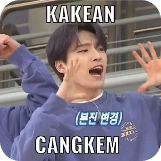 Sticker from svt 🎡