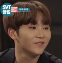 🙃 emoji SVT @lwwyyng Telegram sticker 11 of 92