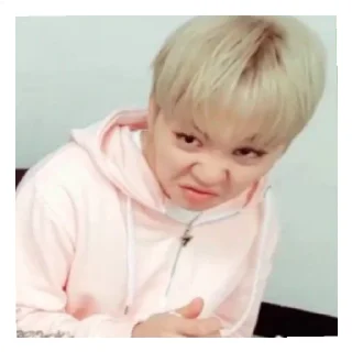 😄 emoji Svt memes Telegram sticker 12 of 52