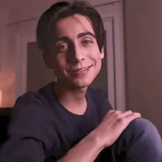 ✨ emoji Aidan Gallagher @stikerwestern Telegram sticker 2 of 70