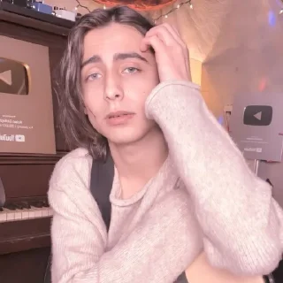 ✨ emoji Aidan Gallagher @stikerwestern Telegram sticker 13 of 70