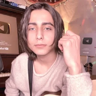 ✨ emoji Aidan Gallagher @stikerwestern Telegram sticker 12 of 70