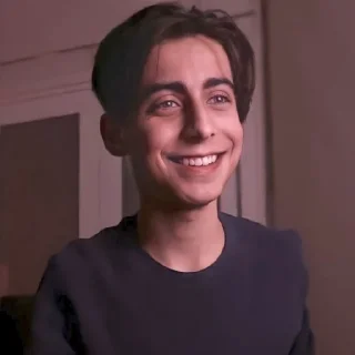 ✨ emoji Aidan Gallagher @stikerwestern Telegram sticker 1 of 70