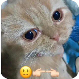 Sticker from caramelana(⁠◠⁠‿⁠・⁠)