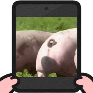 😊 emoji 菜豬🐷3 蒐集 @Boris_CCP Telegram sticker 17 of 120