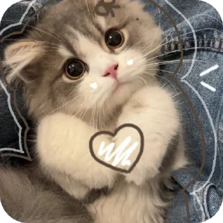 🐱 emoji HEHE !!🩷's stickers pack Telegram sticker 19 of 27