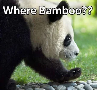 🐼 emoji Panda Telegram sticker 6 of 114