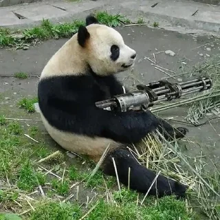 🐼 emoji Panda Telegram sticker 5 of 114