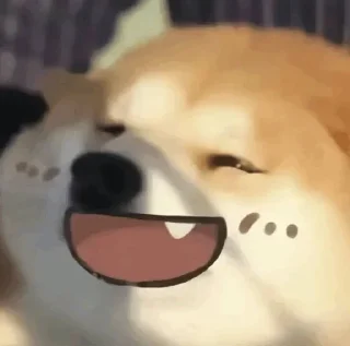 Sticker from 自用表情包 @emo315