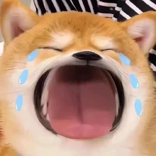 💫 emoji 自用表情包 @emo315 Telegram sticker 16 of 80