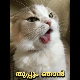 Sticker from Poocha sir